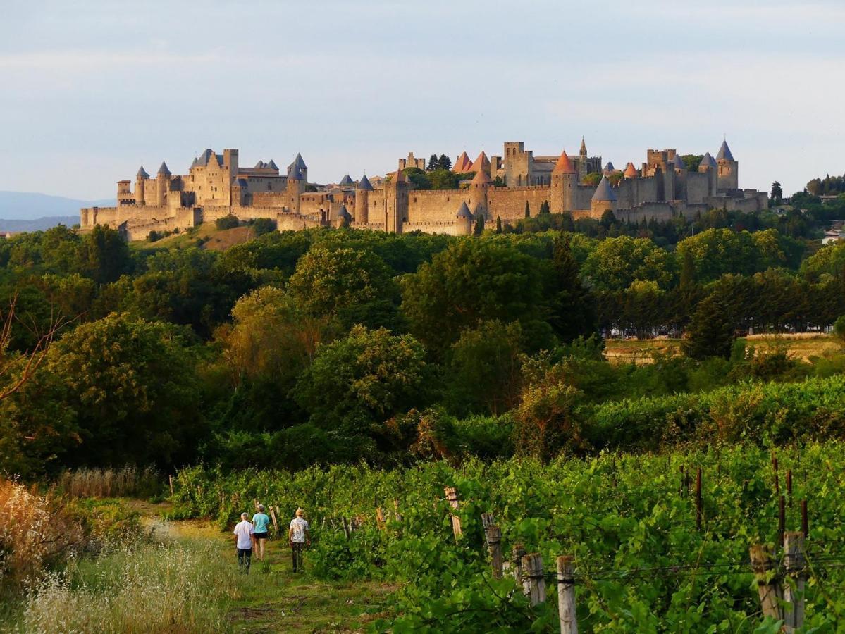 La Maison Des Chapeliers Carcassonne Dış mekan fotoğraf